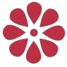 Self-Development Courses